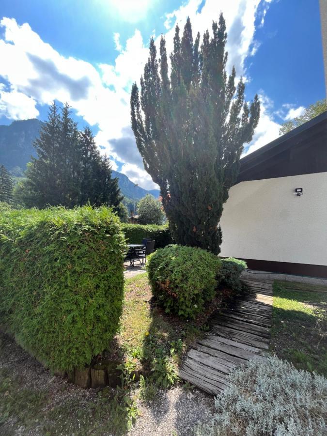 Pod Galetovcem Διαμέρισμα Bohinjska Bela Εξωτερικό φωτογραφία